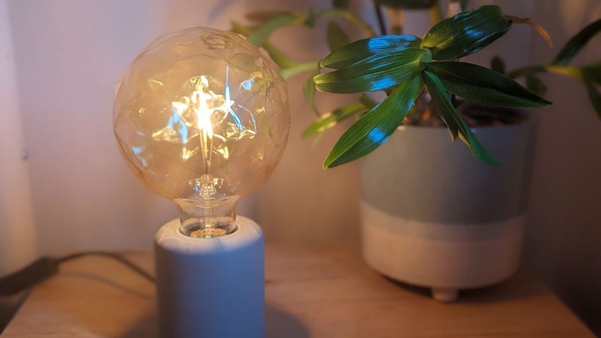 picture of a lamp and a plant