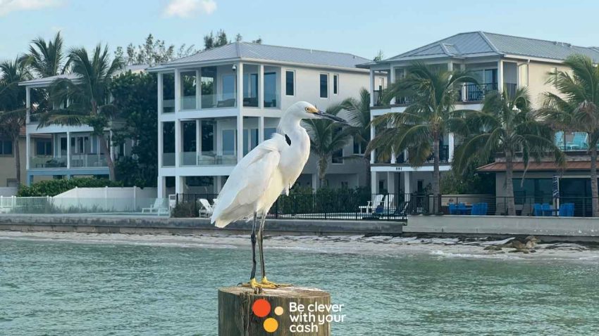 How to find a cheap hotel booking Image of a beach